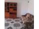 Apartament inchiriat 3 camere cluj napoca iris 929167 poza 7